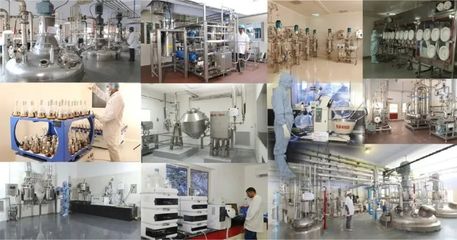 印度生物科技巨头开启新篇章 世界级免疫抑制剂生产商启动IPO